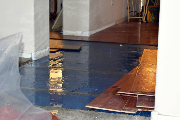 Professional Water Extraction technician working in Clermont, IN